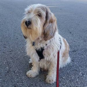 Meet your Posher, Jerry